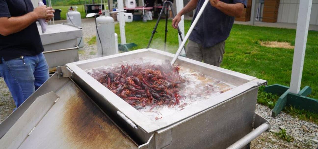 Boiling the crawfish